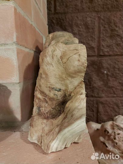 Слэб дерева