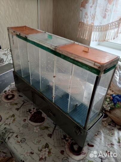Ширма для торговли аквариум рыбками