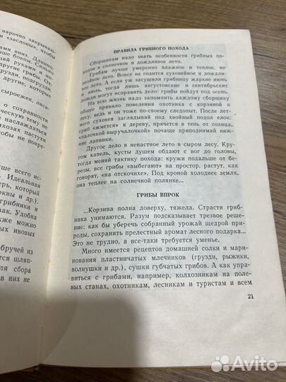 Дары русского леса