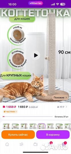 Когтеточка для кошки