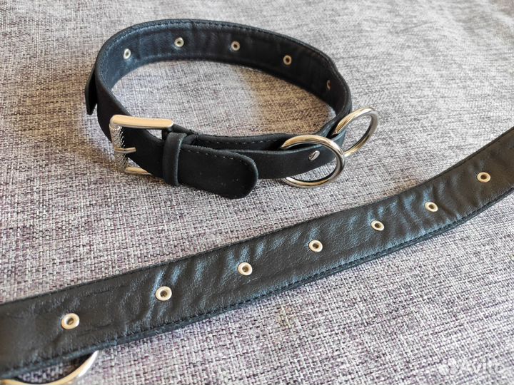 Ошейник для собак мелких пород