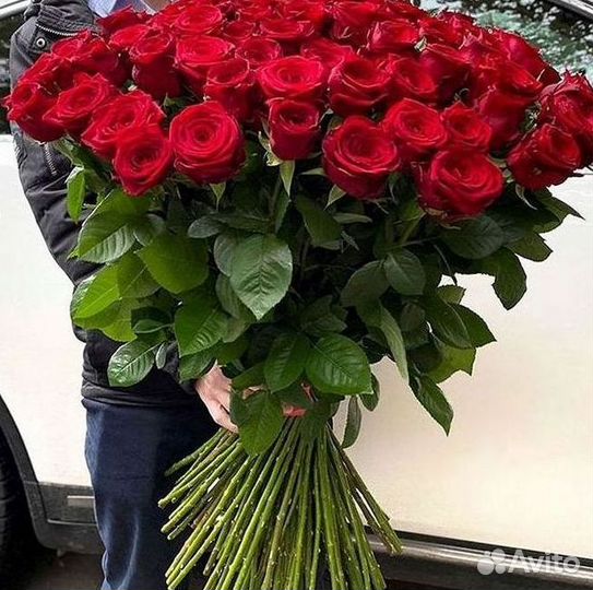 Розы Букеты Цветы Розы 31 101 151 201 Доставка