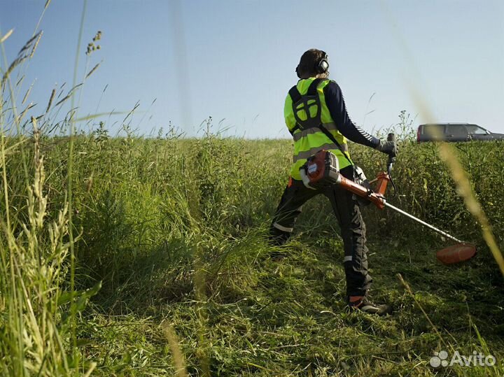 Благоустройство участка