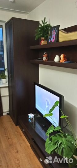 Стенка Орнета Lazurit