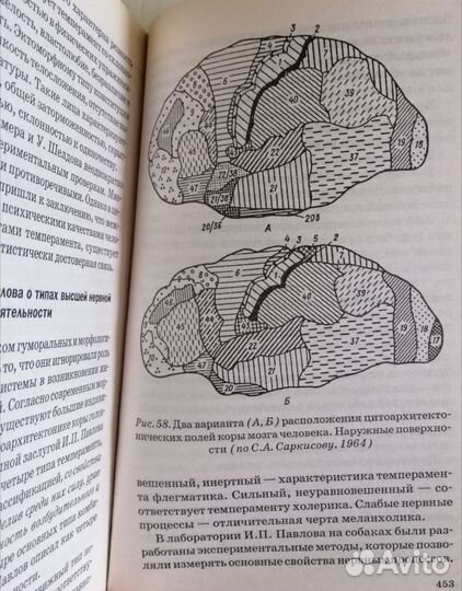 Физиология высшей нервной деятельности