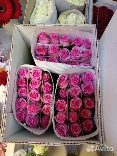 Розы опт и розница
