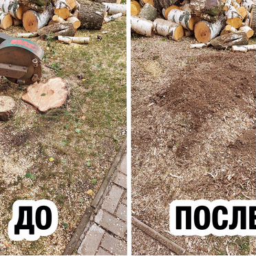 Спил деревьев / Расчистка участка