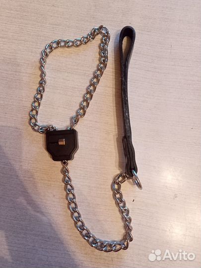 Ошейник для собак