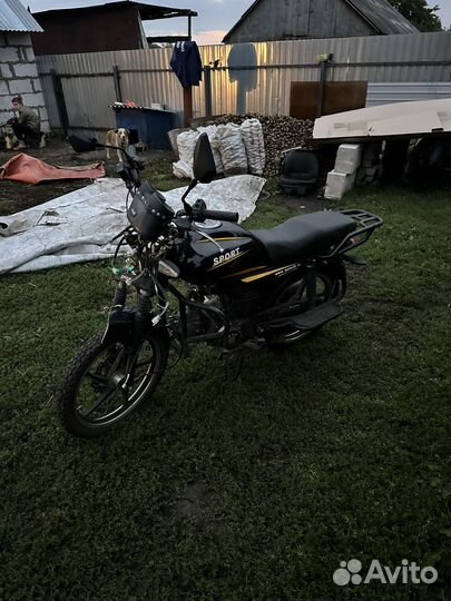 Альфа спорт