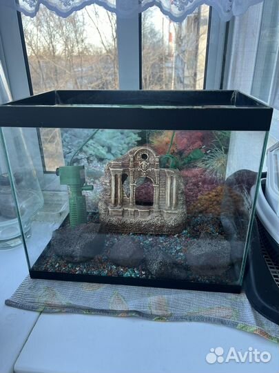 Аквариум