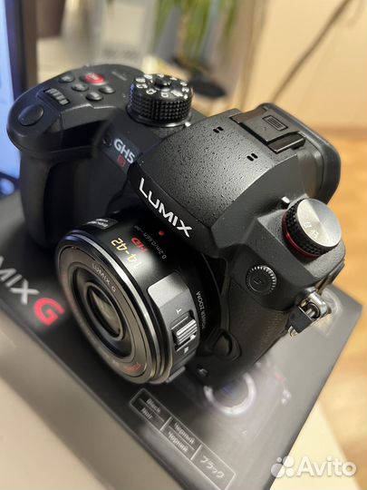 Фотоаппарат Panasonic Lumix DC-GH5S kit 14-42