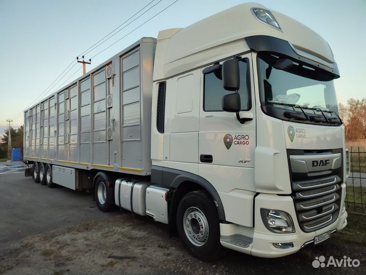 Водитель категории е (скотовоз)