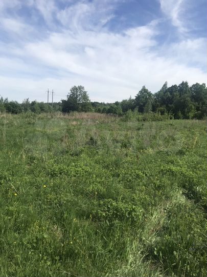 Участок 4 га (ИЖС)