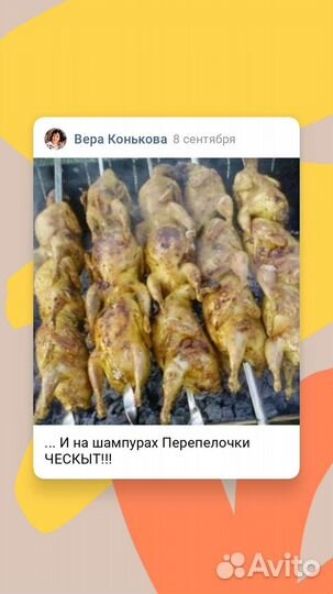 Фермерские продукты Перепелки