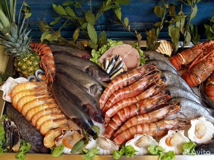 Готовая франшиза рыбного магазина под ключ