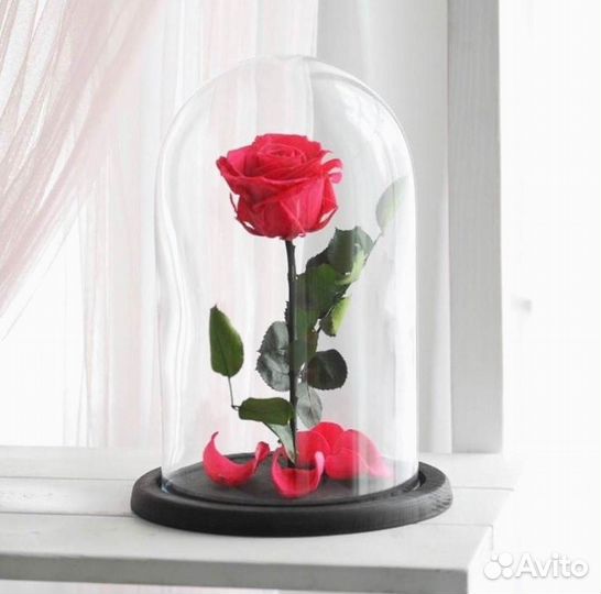 Розы в колбе любые