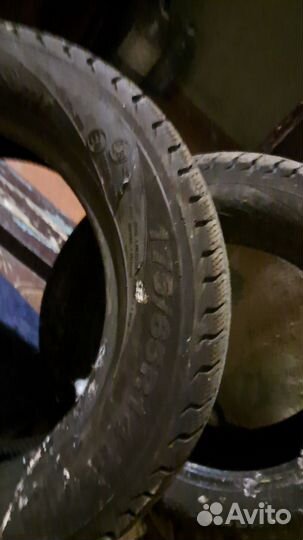 Белшина Бел-81 175/65 R14