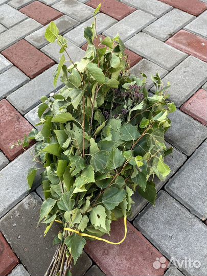 Веники банные