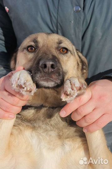 Октавию выкинули на мороз щенком