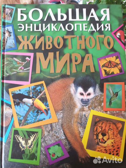 Энциклопедия животного мира