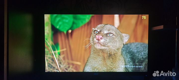 Монитор acer 27