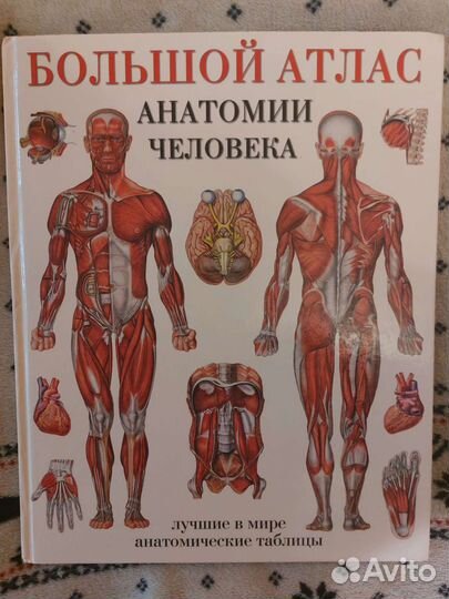 Большой атлас анатомии человека
