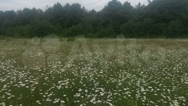 Участок 15 сот. (ИЖС)