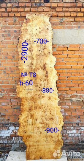 Слэб тополя