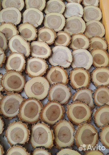 Спилы дерева для декора и интерьера