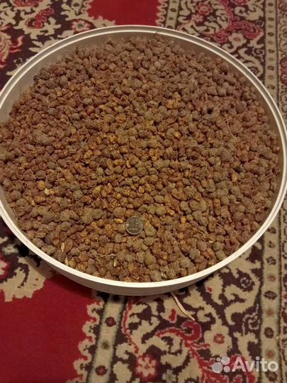 Чуфа. Земляной миндаль