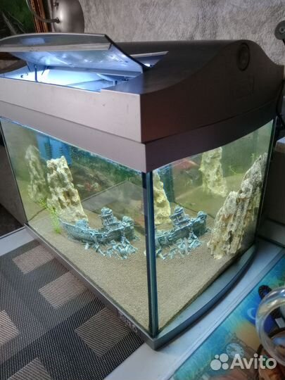 Аквариум