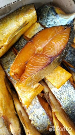Копчёная и свежемороженная рыба