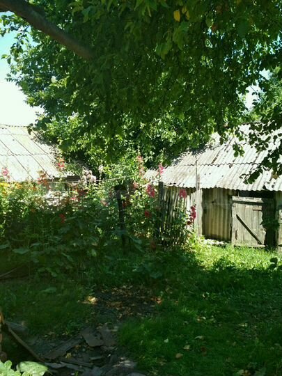 Дом 48 м² на участке 10 сот.