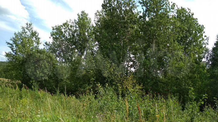 Участок 7,12 га (СНТ, ДНП)