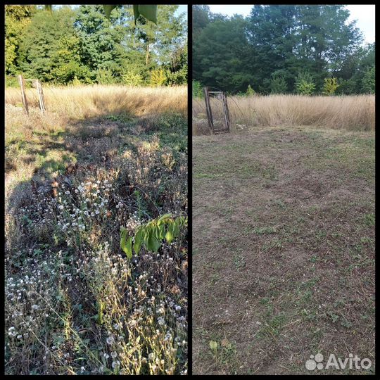 Покос травы