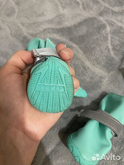 Ботинки для собак