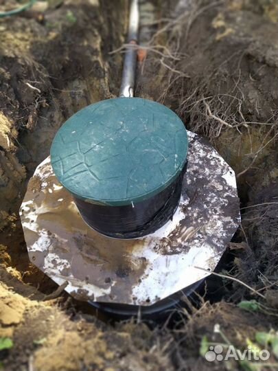 Биосептик для дома