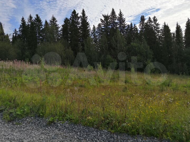 Участок 23 сот. (СНТ, ДНП)