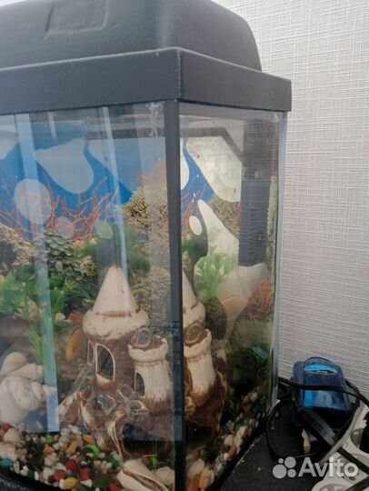 Аквариум