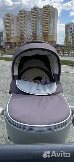 Люлька anex sport