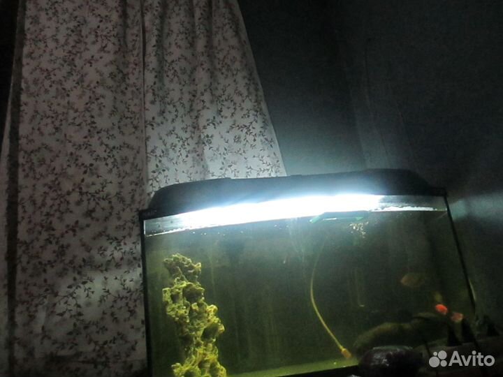 Продам аквариум