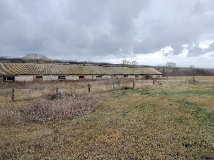 Здание, 703.4 м²