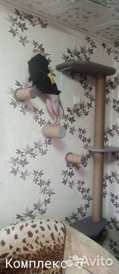 Когтеточка, домик для кошек, комплекс, лежанка