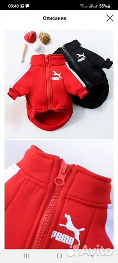 Одежда для маленьких собак