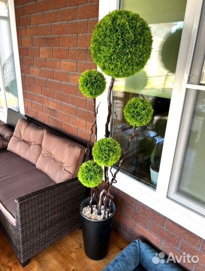 Самшиты искуственные 10-12 см