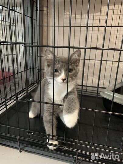 Дым в добрые руки