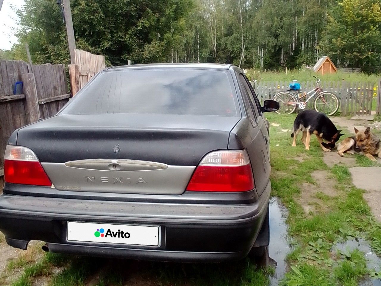 Daewoo Nexia: фото владельца