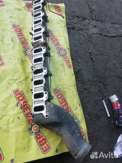 Впускной коллектор Даф 95 хф евро 3 XE315C