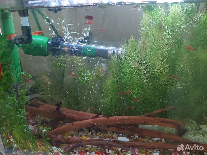 Грунт для аквариума