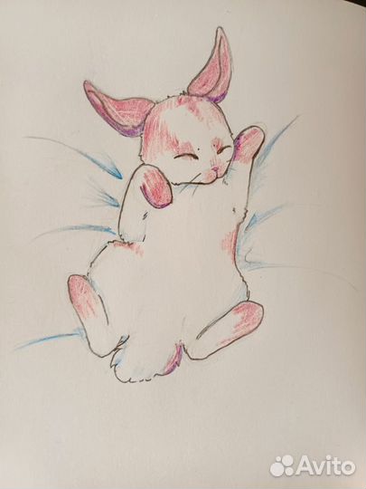 Нарисую вашего питомца